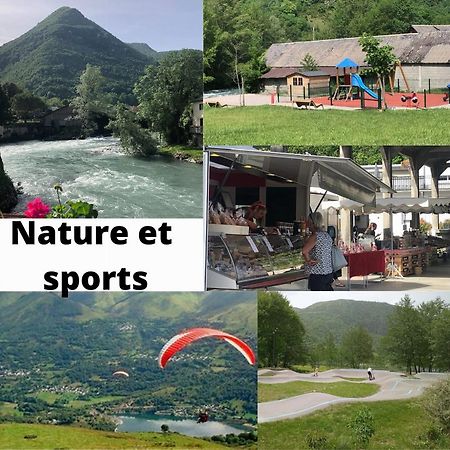 Jolie Maison De Ville En Bord De Neste 8/9 Pers Sarrancolin Bagian luar foto
